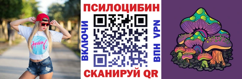 Псилоцибиновые грибы Psilocybine cubensis Гурьевск